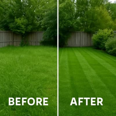 Backyard lawn before and after an ACME mowing visit