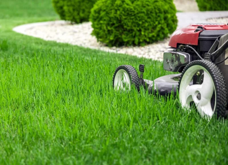 Weekly Mowing