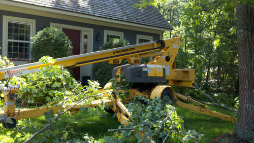 Southern Maine Tree Services